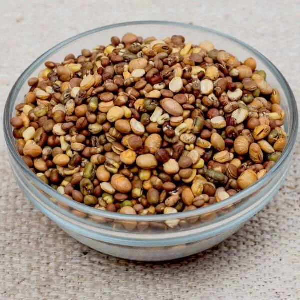 Chandra Vilas Protein Mix – 250g - Image 1